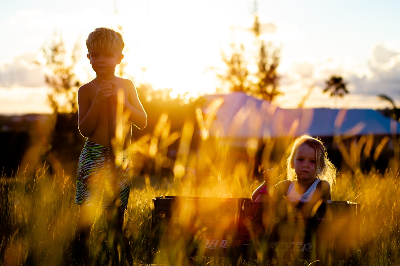 Children playing outdoors in a sunny field